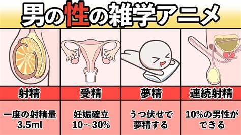 勃起 前屈み|デート中に勃起！ごまかす時におすすめの行動や対処法まとめ